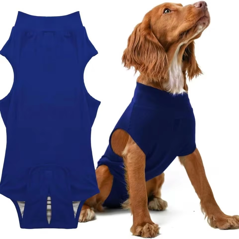 Dog wearing a pet sterilization suit for surgical recovery, designed to prevent licking and ensure comfort