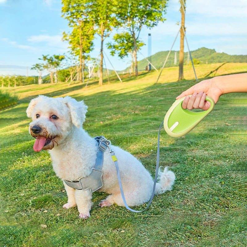 3m green automatic retractable nylon durable pet leash for small dogs and cats