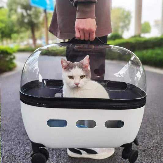 transparent capsule pet travel trolley carrier with wheels for small dogs and cats