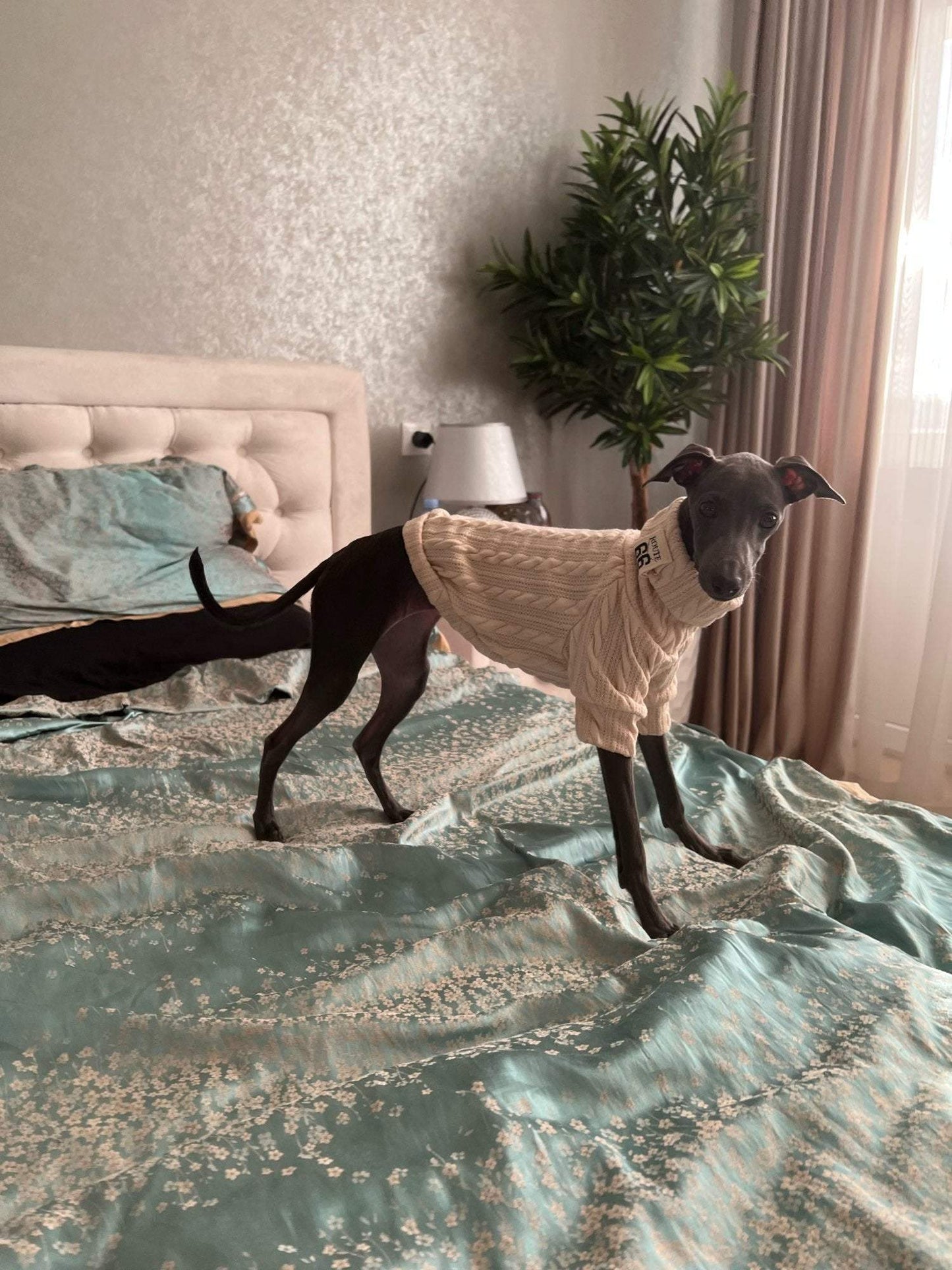 Winter Warm Knitted Turtleneck Sweater for Small Dogs and Cats - Cozy