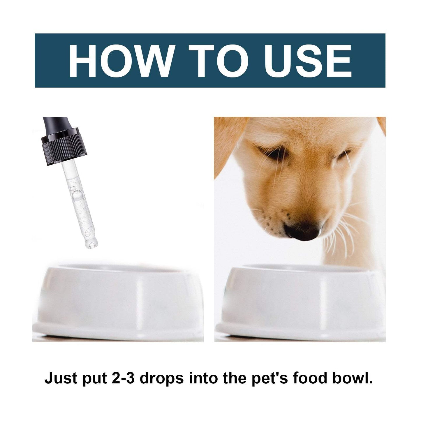 Pet Immune Oral Drops bottle with natural ingredients for cats and dogs immune health