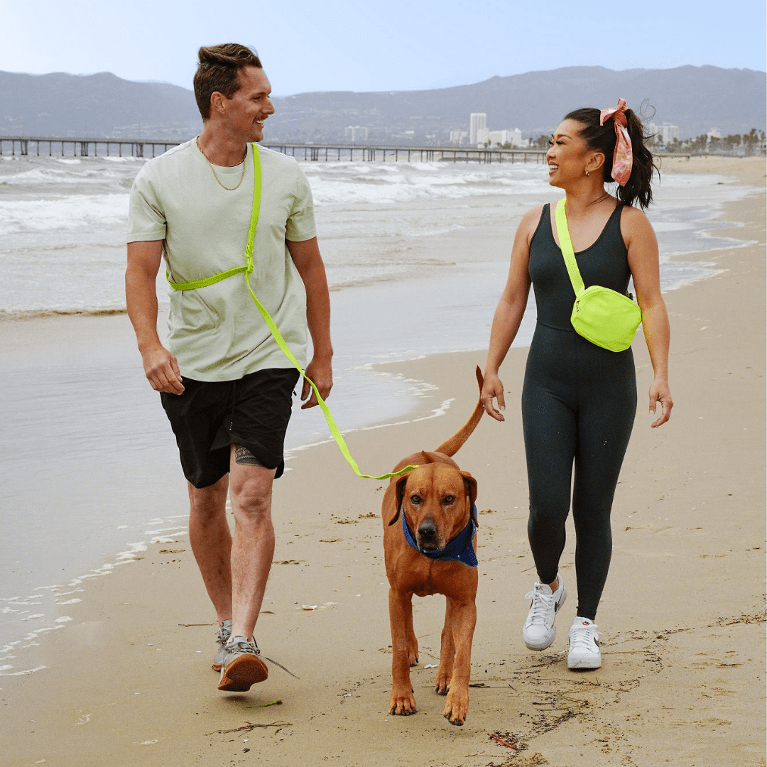 Couple walking dog on beach with dog wearing durable waterproof PVC dog collar