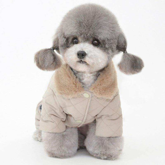 Pet Cotton Coat - Casual Teddy & Cotton Padded Warm Winter Dog Clothes