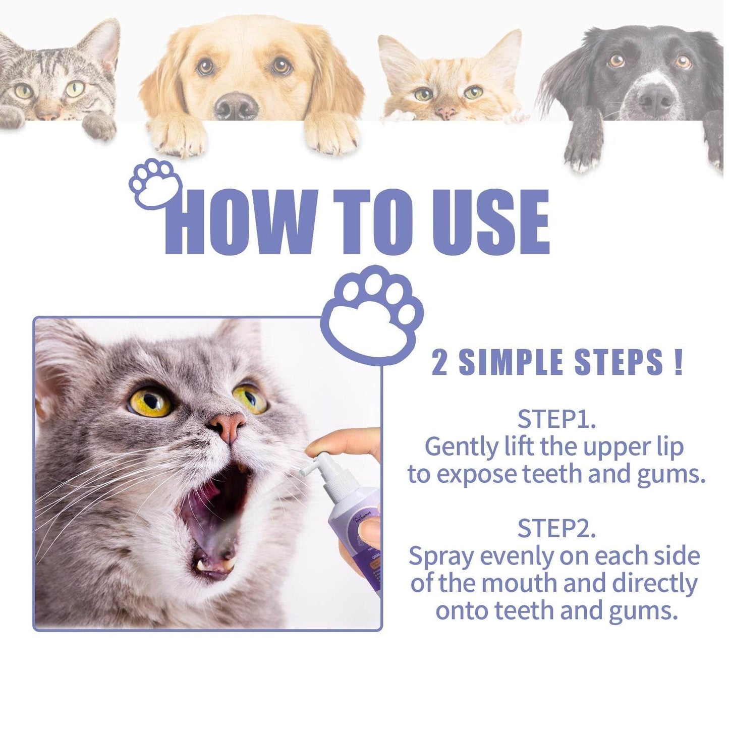 Dog and cat tooth cleaning spray application with cat demonstrating spray usage on teeth and gums