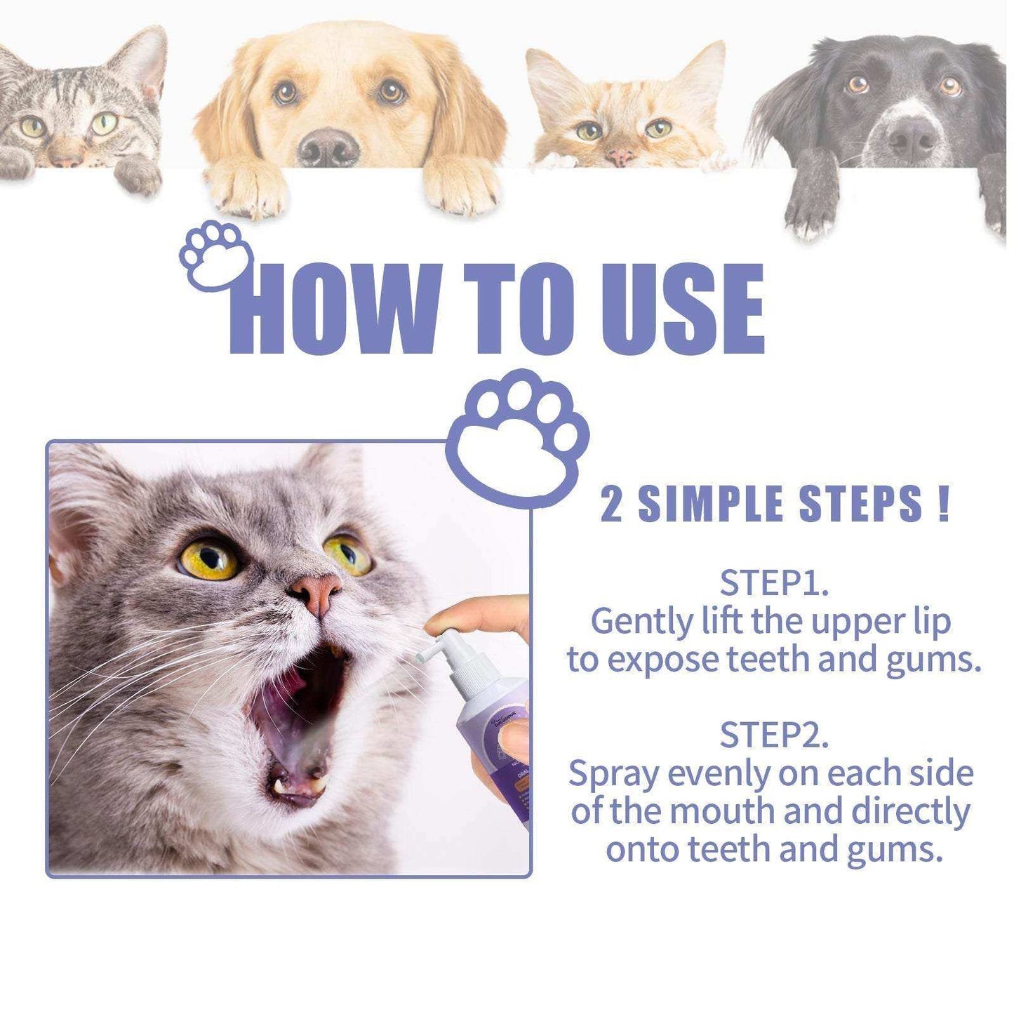 Dog And Cat Tooth Cleaning Spray – Pet Mouth Cleaning Breath Freshener