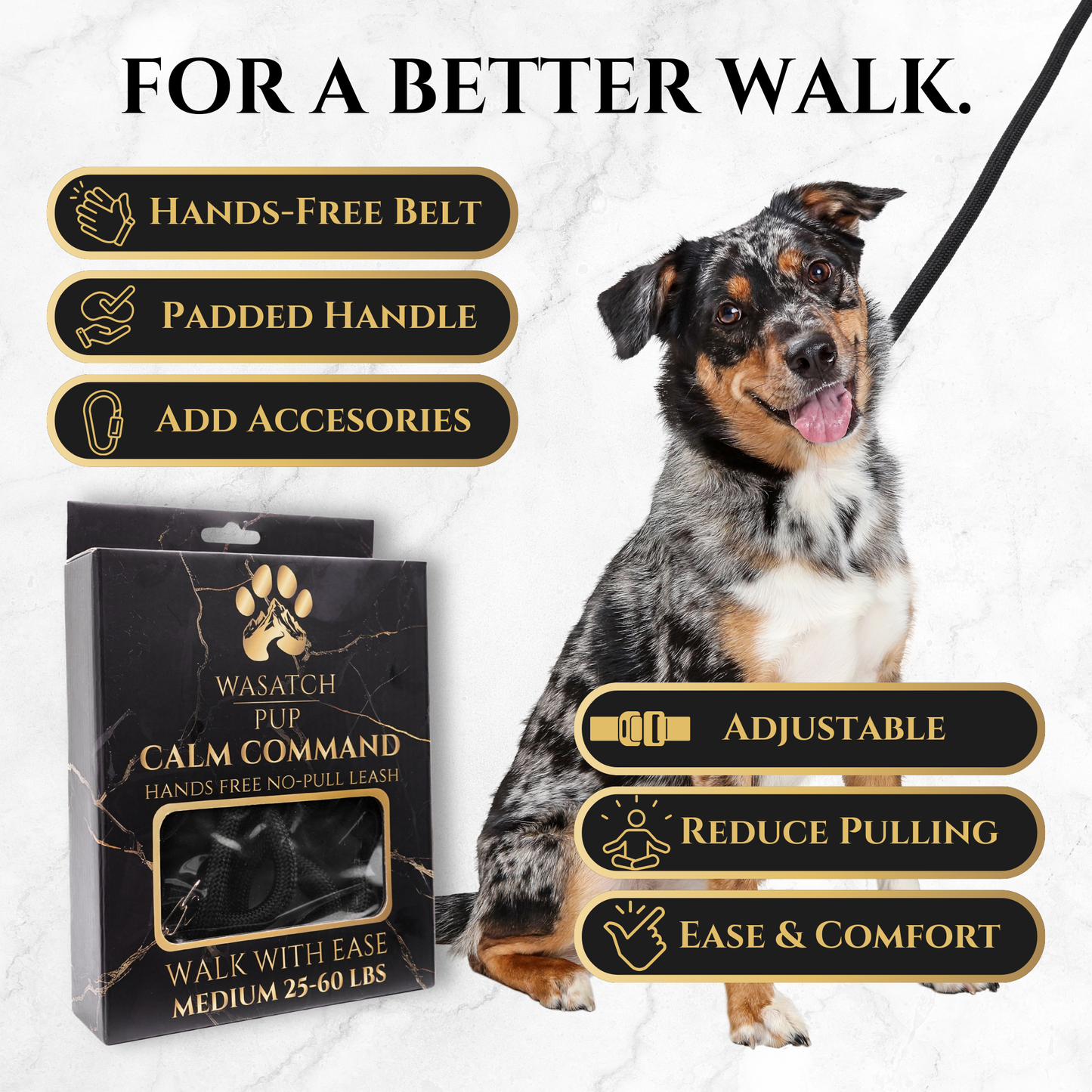 Dog wearing Calm Command hands-free no-pull leash with padded handle and waist belt for safe, comfortable walks