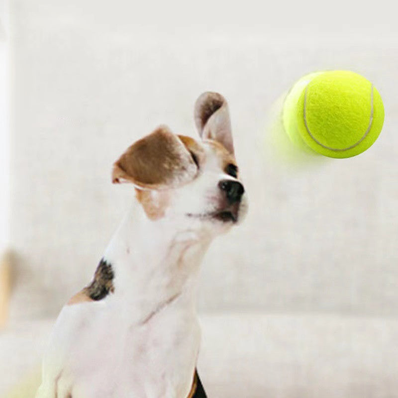 Dog Toy Rubber Elastic Tennis Ball Small and Medium sized Dog Bite Dog Toy