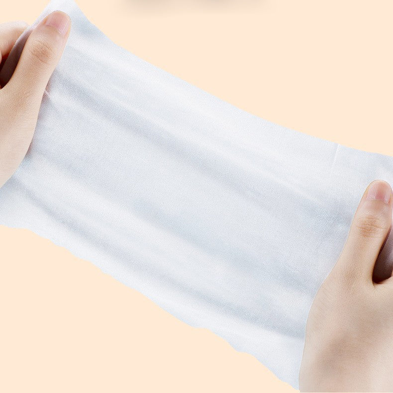 Pet Care Wet Wipes 100 Sheets Dog No-Rinse Cleaning Tissues Cat Eye Care Tear Stain Removal Wipes Wholesale