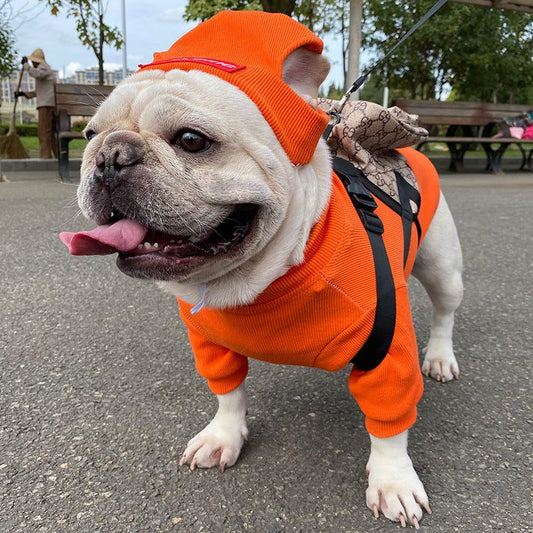 Trendy pet clothing set with coat and hat in multiple colors for small dogs