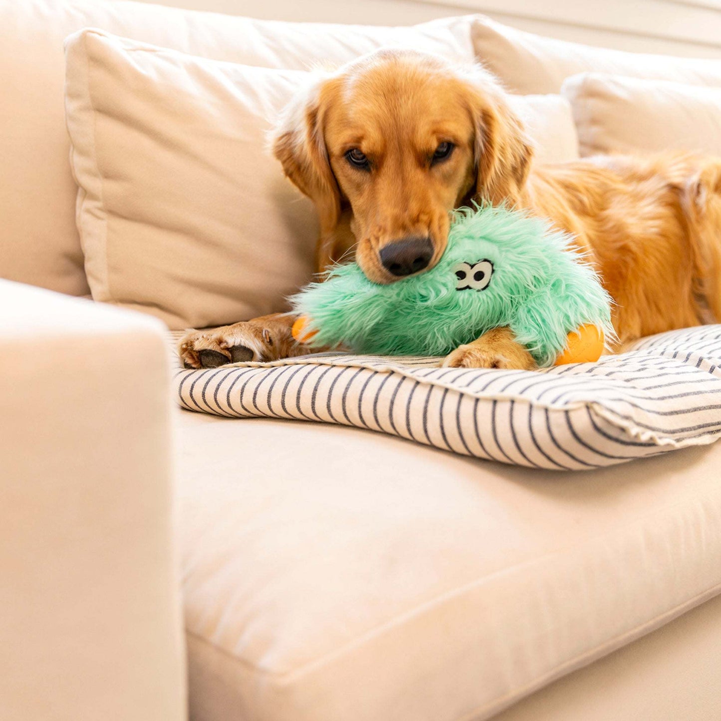 Rowdies plush toy Helga with reinforced fabric and chew-tough paws for durable dog play