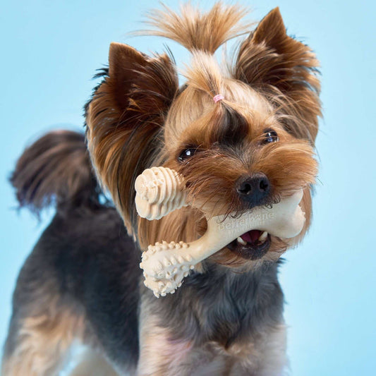 BetterBone SOFT natural chew toy for sensitive teeth in puppies and senior dogs