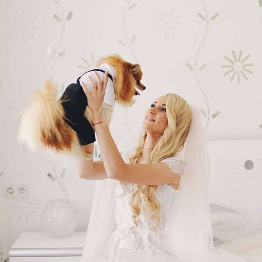 Pet suit with bow tie worn by small dog held by woman in white dress