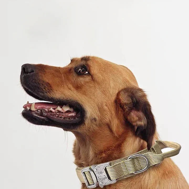 Durable Nylon Dog Collar & Reflective Leash Set - Tactical Training