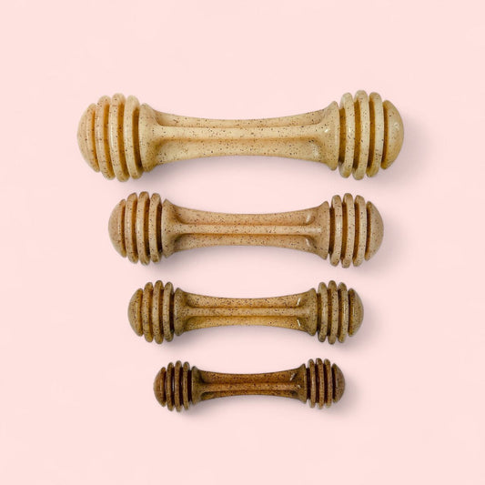 Honey Bone eChew Ultra Durable Nylon Dog Chew Toy - For Heavy Chewers