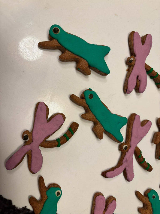 Organic dragonflies and grasshoppers shaped peanut butter dog cookies with colorful icing
