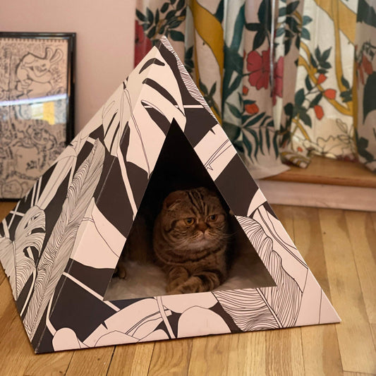 Dark Paradise Cardboard cat pyramid with artistic black and white leaf design and a cat inside on wooden floor