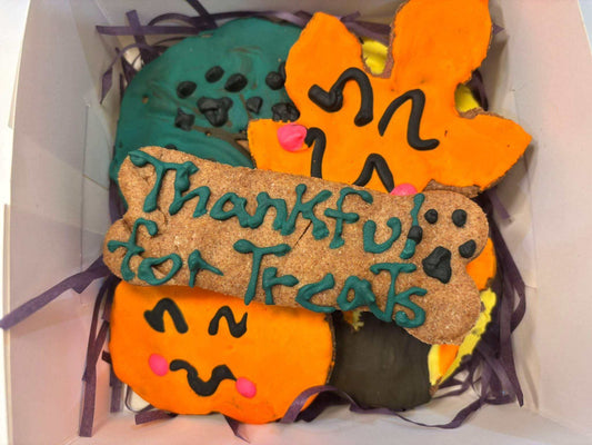 Box of fall peanut butter dog cookies shaped like leaves and pumpkins with "Thankful for Treats" written on one cookie