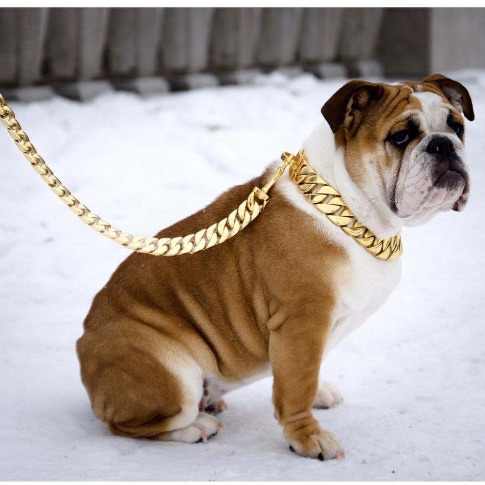 Kilo Cuban Link 14K gold plated luxury dog leash for XL dogs, handmade solid steel chain