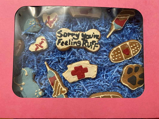 Get Well Organic Dog Cookie Box with decorated peanut butter cookies on blue paper in pink gift box