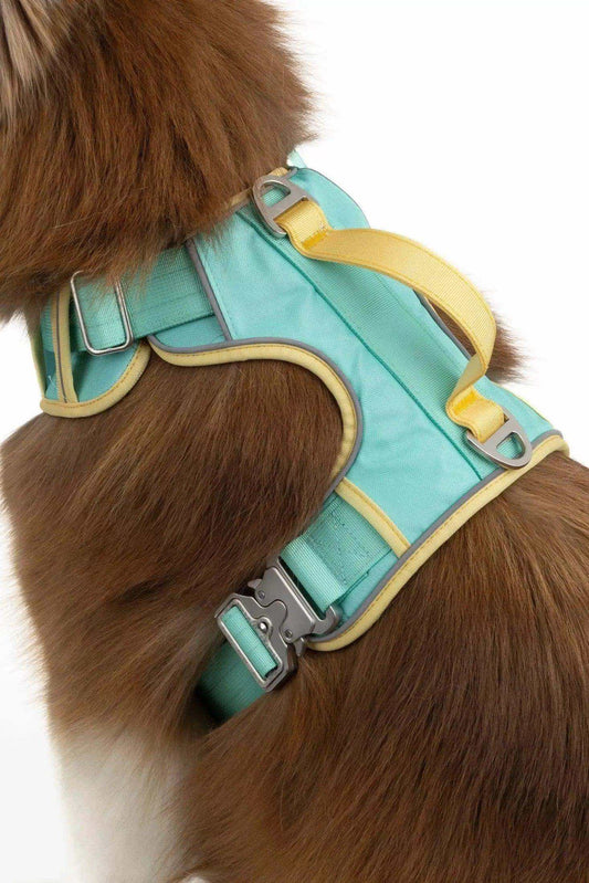 Island Vibes Ultimate Dog Harness with metal clips, padded straps, reflective stitching, and top handle for safety and style