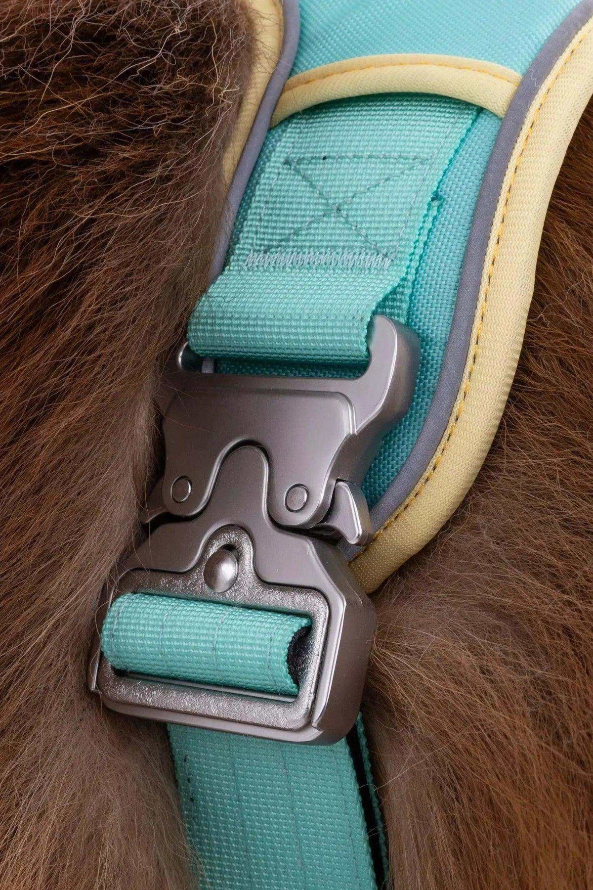 Close-up of turquoise and beige Island Vibes Ultimate Dog Harness metal buckle on dog fur