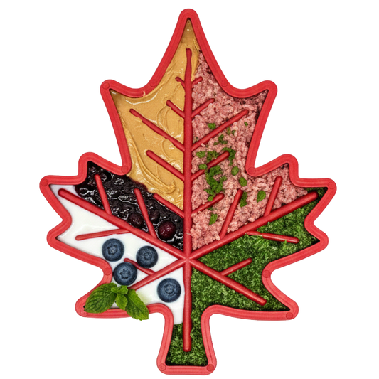 Canadian Maple Leaf shaped dog food bowl with sections for different foods