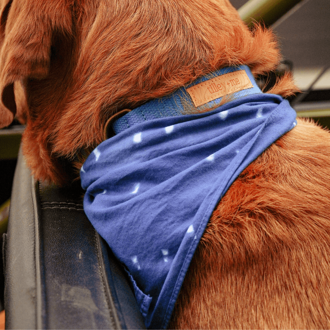 Malibu Sunset Sustainable Hemp Cotton Adjustable Dog Collar– Durable & Soft