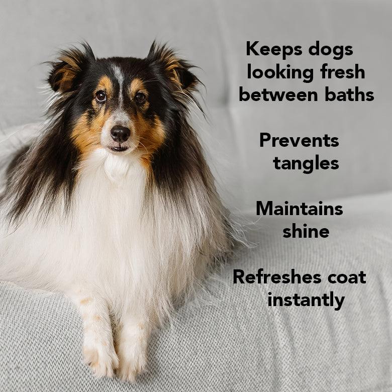 THE LEAVE IN Conditioner spray bottle for pets detangles, repairs, and adds gloss to dog and cat coats