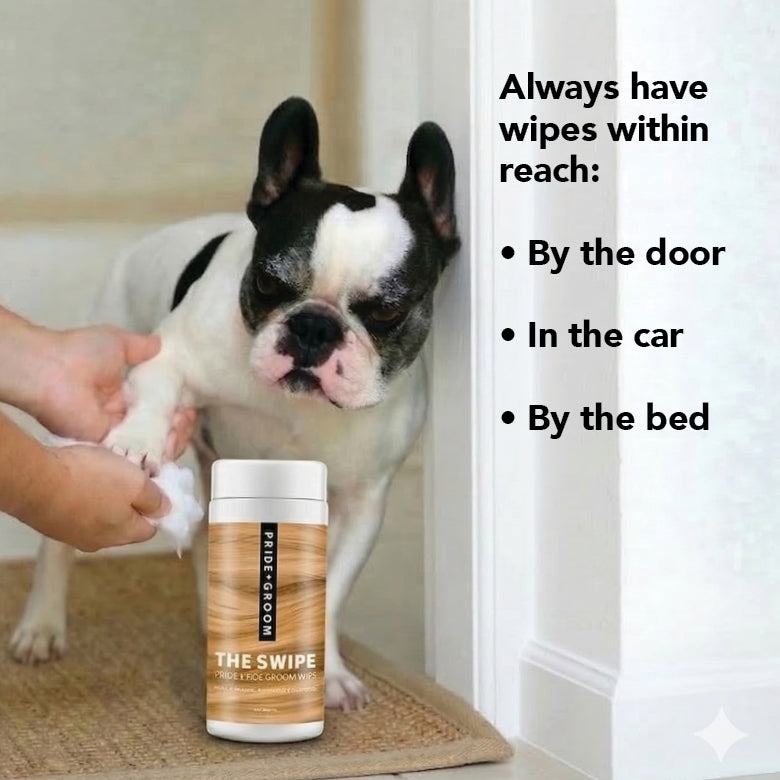 The Swipe wipes pet grooming pack with natural, hypoallergenic wipes for dogs and cats