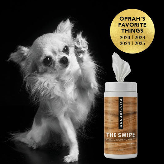 The Swipe wipes package with pre-moistened pet wipes for quick cleaning of dogs and cats