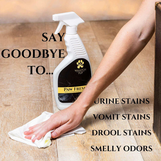 Paw Fresh spot cleaner and deodorizer spray removing pet urine, vomit, drool stains, and odors from hardwood floor with a wiping cloth