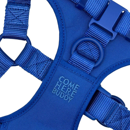 Blue padded step in dog harness with adjustable straps and secure buckle by Come Here Buddy