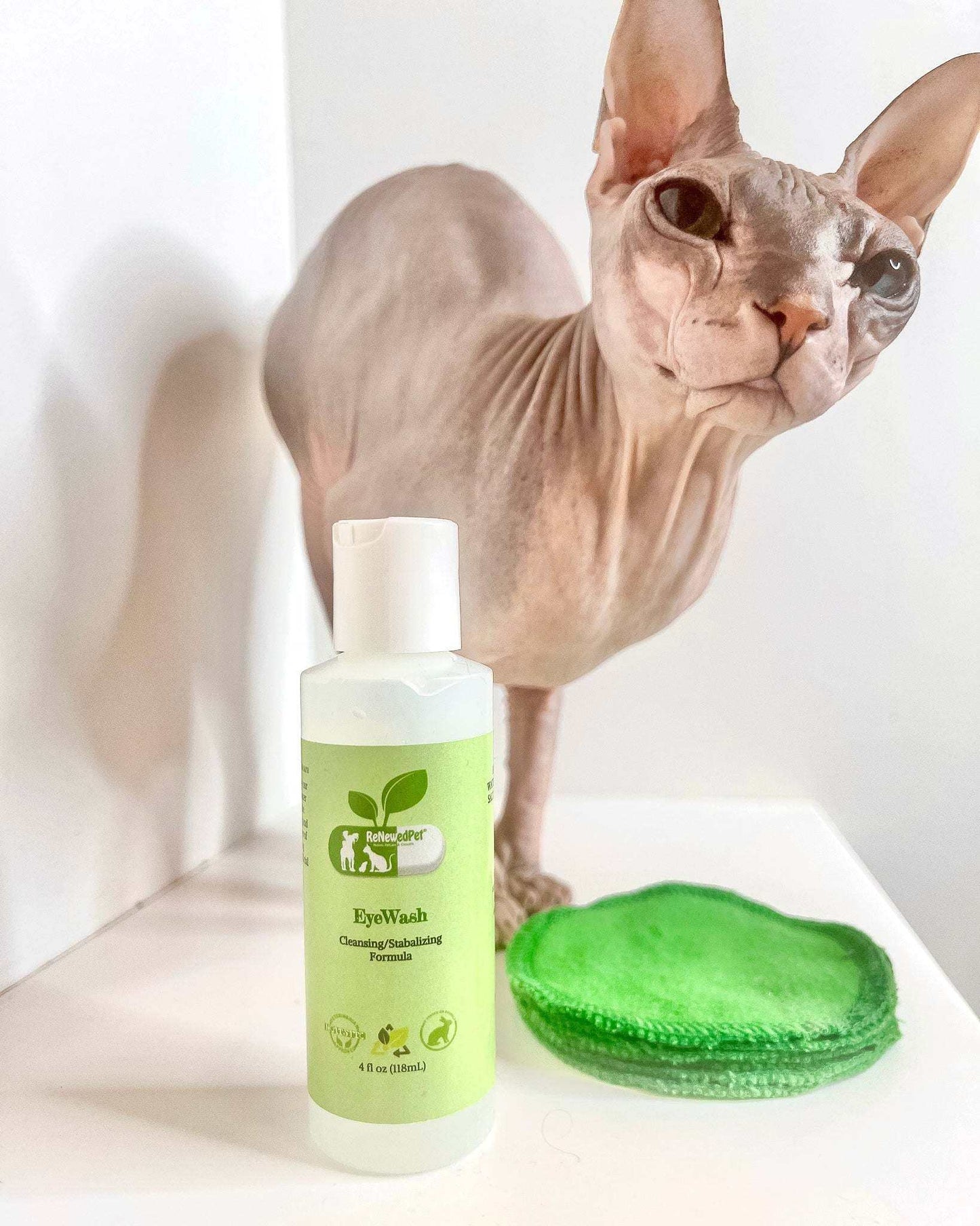 4-ALL PETS Eyewash natural pet eyewash bottle with reusable cotton pad next to a sphynx cat