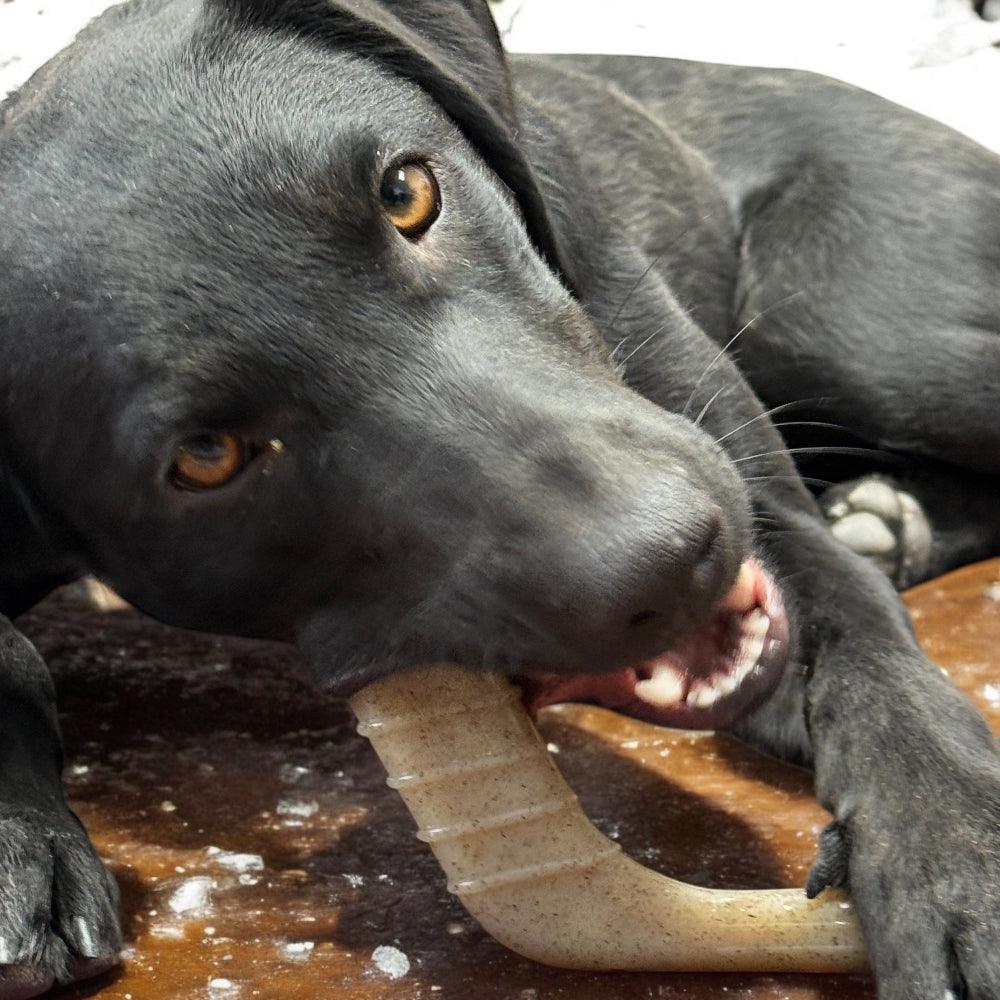 Black dog chewing on a medium-sized brown hockey stick nylon chew toy for aggressive chewers