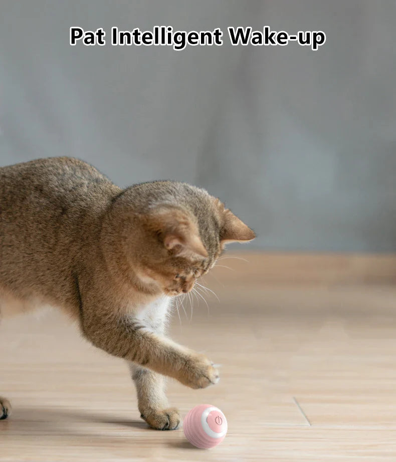 2PCS Smart Cat Toys – Auto Rolling Interactive Ball Set