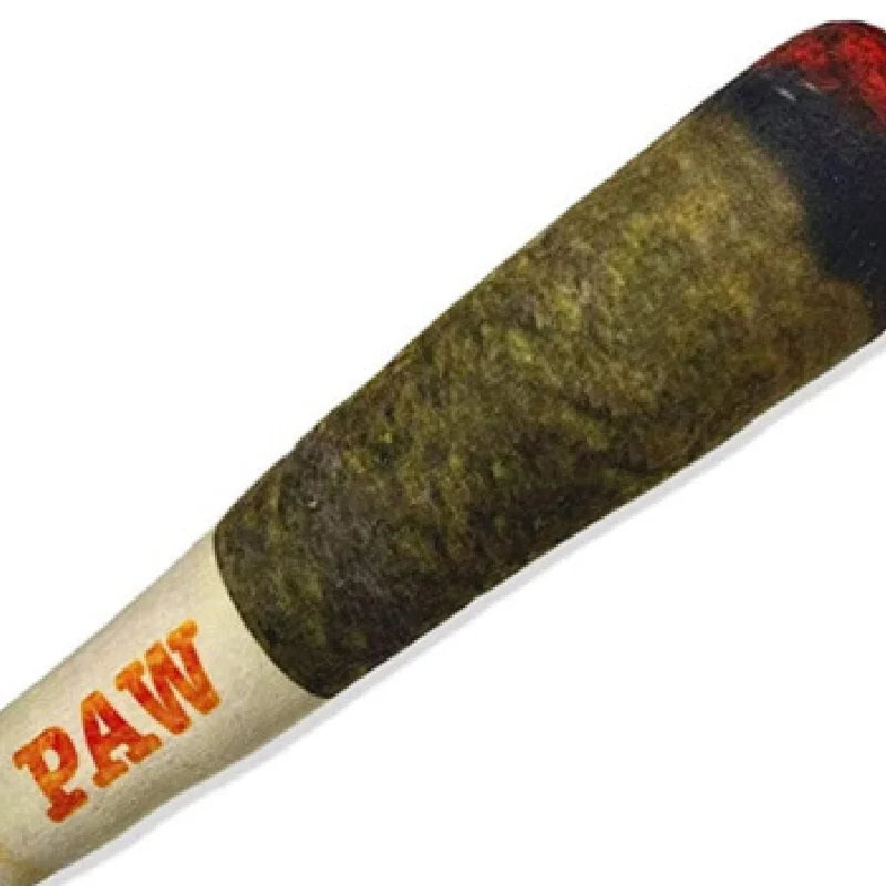 Interactive Plush Dog Cigar - Squeaky Chew Toy for Small Dogs