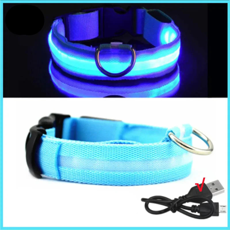 USB Rechargeable LED Glowing Dog Collar – Adjustable Night Safety
