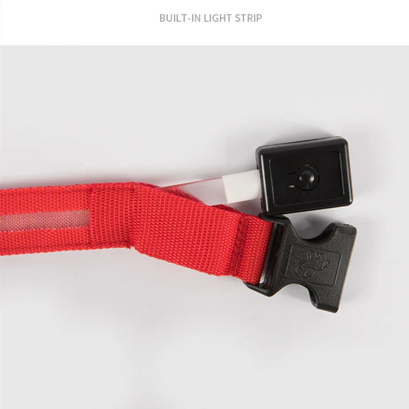 USB Rechargeable LED Glowing Dog Collar – Adjustable Night Safety