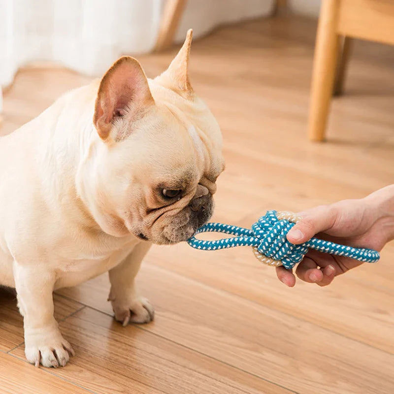 Interactive Cotton Rope Dog Toy - Mini Ball for Chewing & Cleaning