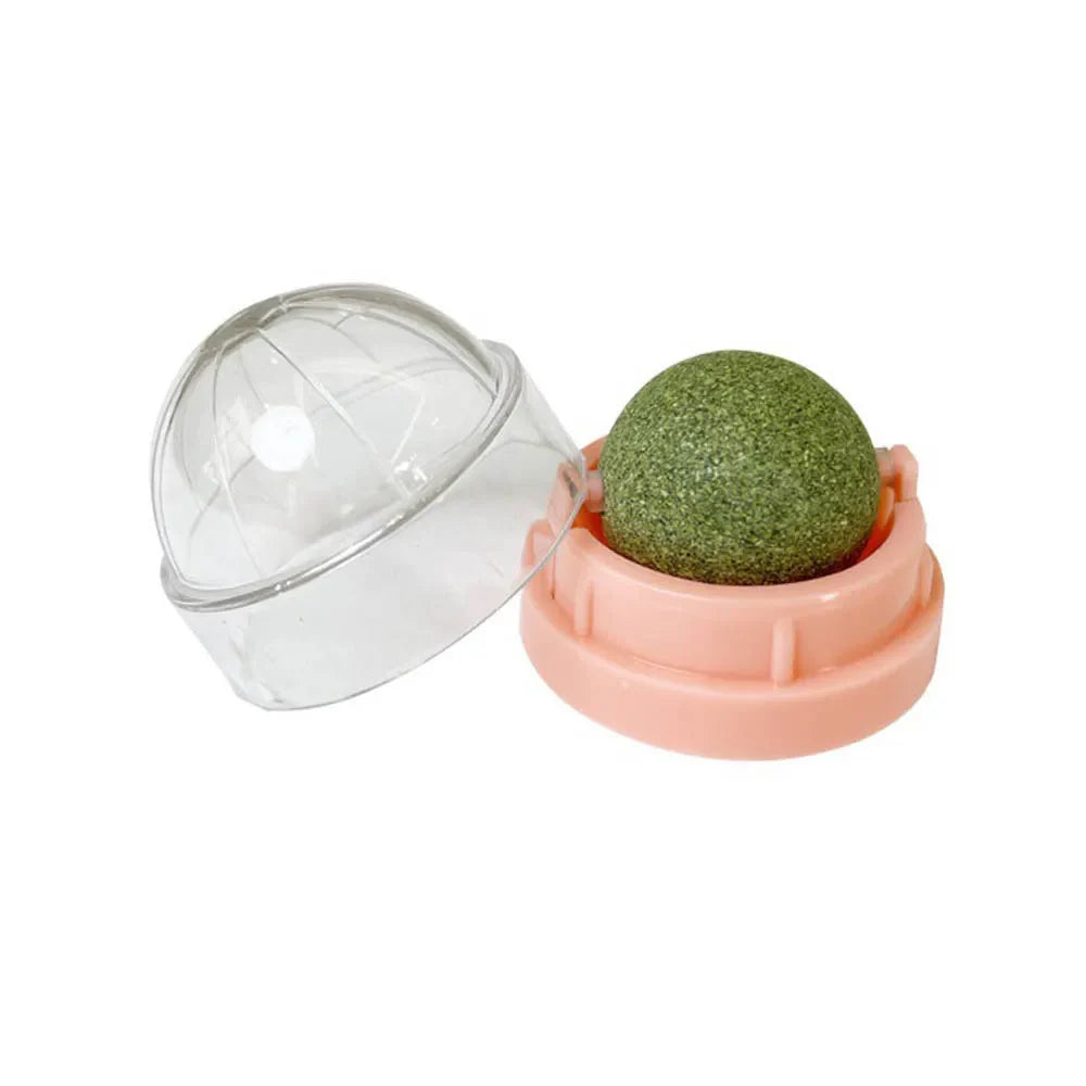 Catnip Wall Ball Treats – Digestive Aid & Fun for Cats