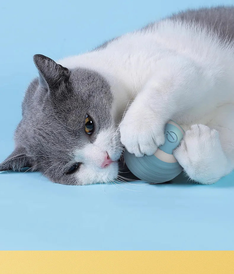 2PCS Smart Cat Toys – Auto Rolling Interactive Ball Set