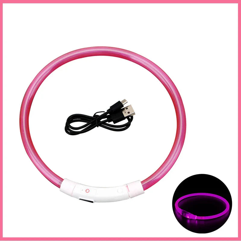 USB Rechargeable LED Glowing Dog Collar – Adjustable Night Safety