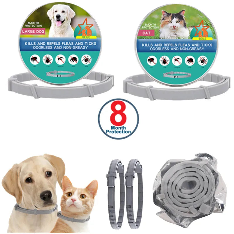 USB Rechargeable LED Glowing Dog Collar – Adjustable Night Safety