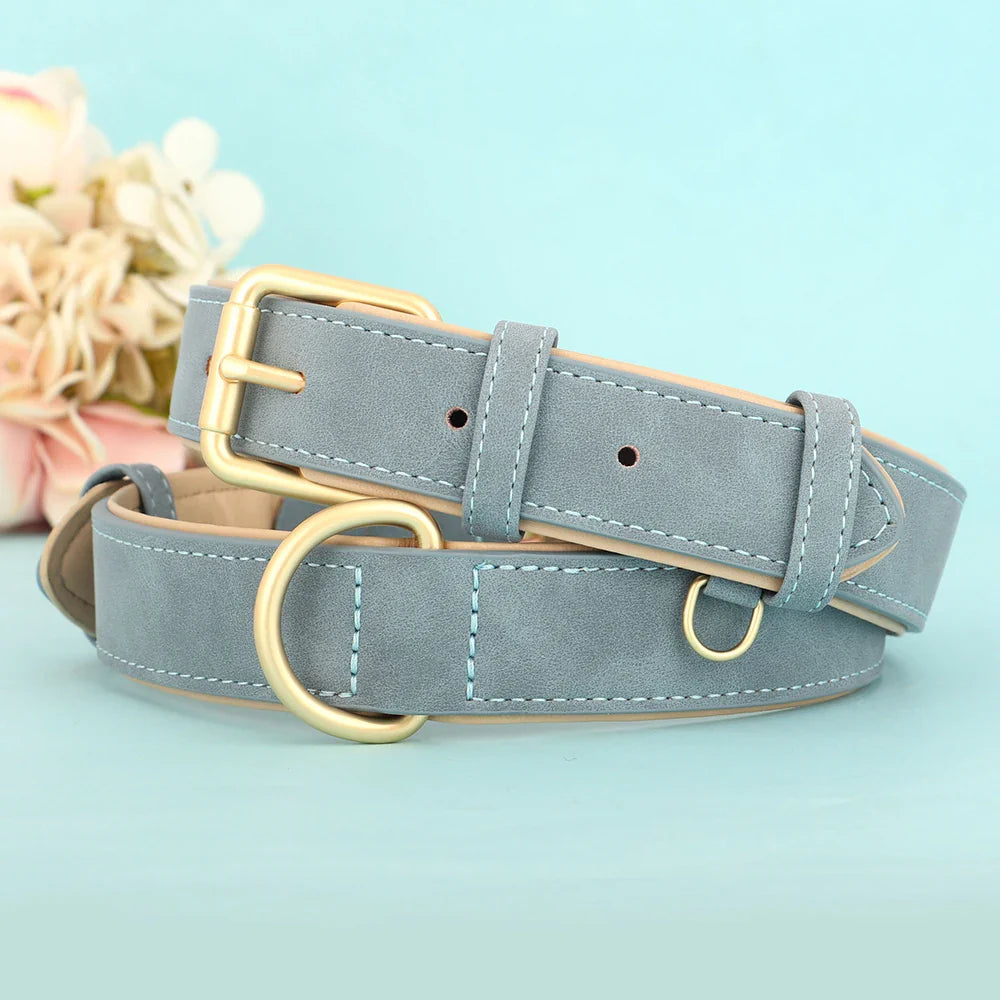 Durable Soft Padded Leather Dog Collar – Adjustable for All Sizes