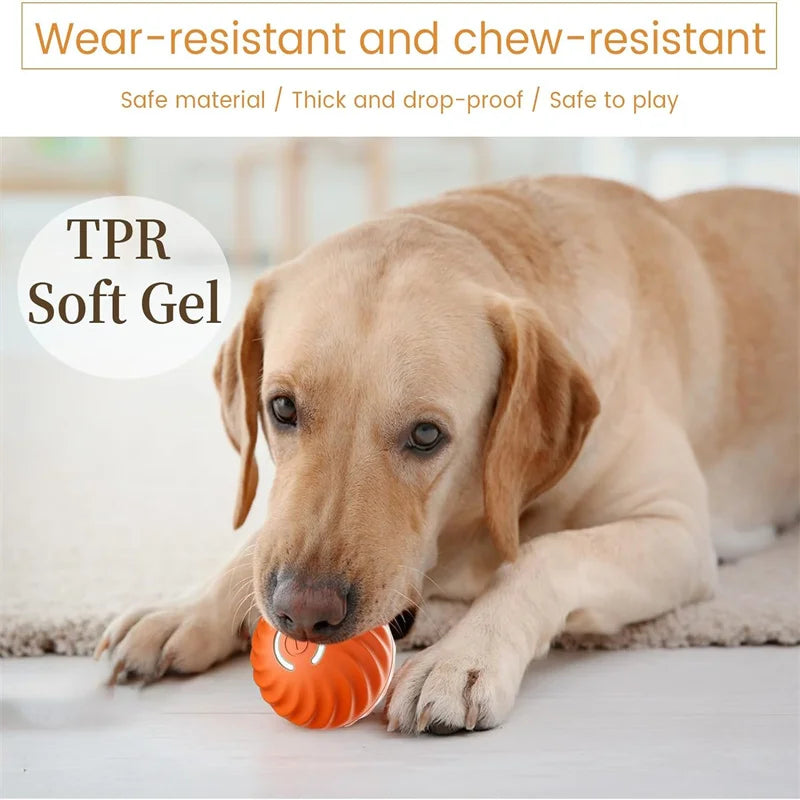 Smart Dog Toy Ball – USB Auto Bouncing Pet Toy for Dogs