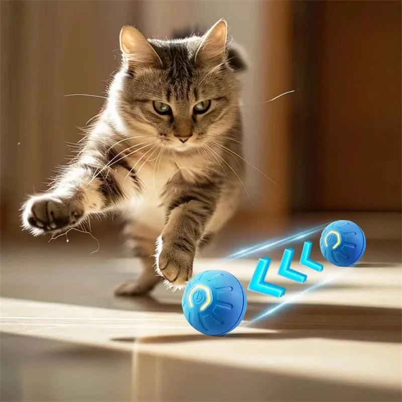 Smart Dog Toy Ball – USB Auto Bouncing Pet Toy for Dogs