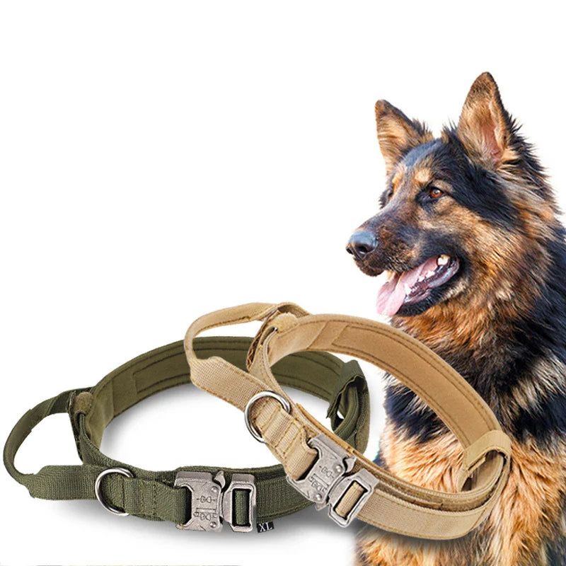Durable Nylon Dog Collar & Reflective Leash Set - Tactical Training