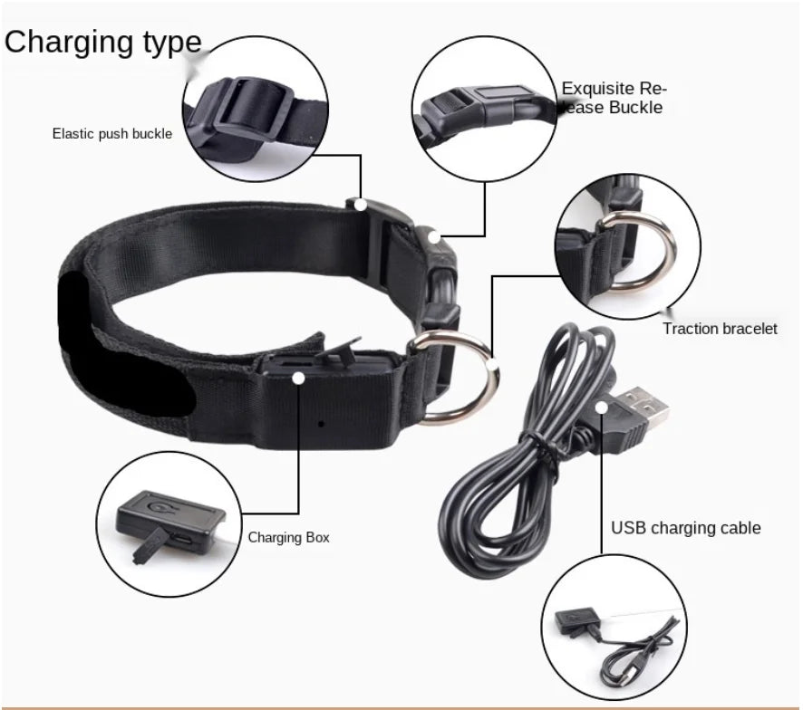 USB Rechargeable LED Glowing Dog Collar – Adjustable Night Safety