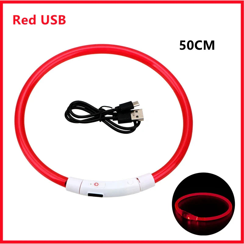 USB Rechargeable LED Glowing Dog Collar – Adjustable Night Safety