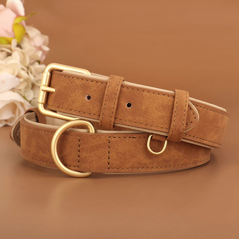 Durable Soft Padded Leather Dog Collar – Adjustable for All Sizes
